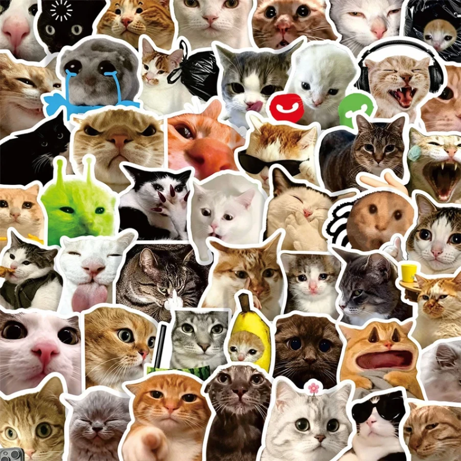100 Pcs Funny Cat Meme Stickers Pack - Waterproof Cute Kitten Viral Decals for Laptops, Phones, Water Bottles & Journals 2